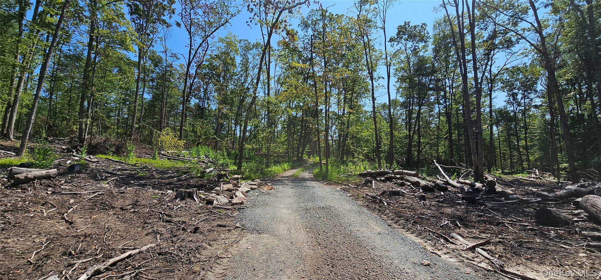 #2 photo, Lot 8.1 Eckes Road, Narrowsburg , NY 12764