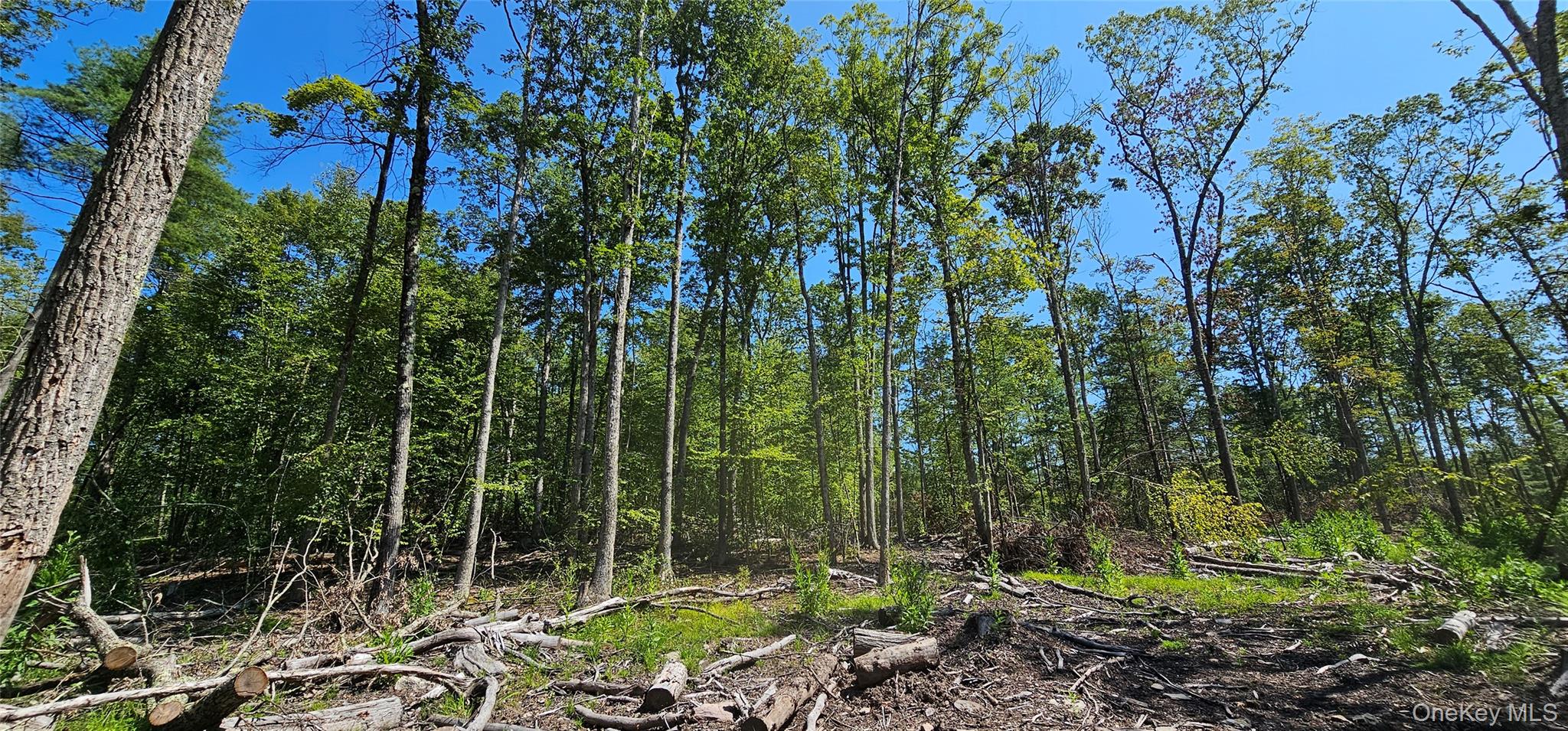 #3 photo, Lot 8.1 Eckes Road, Narrowsburg , NY 12764