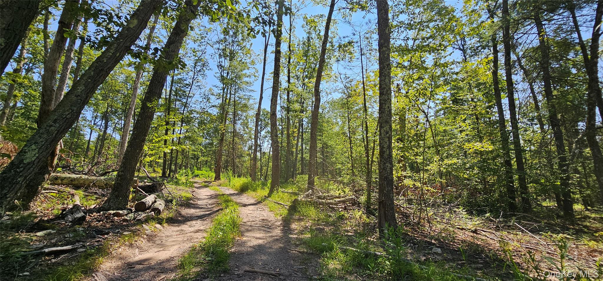 #5 photo, Lot 8.1 Eckes Road, Narrowsburg , NY 12764