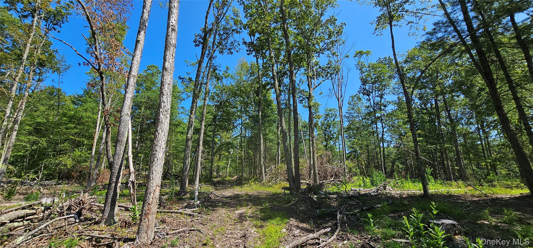 #6 photo, Lot 8.1 Eckes Road, Narrowsburg , NY 12764