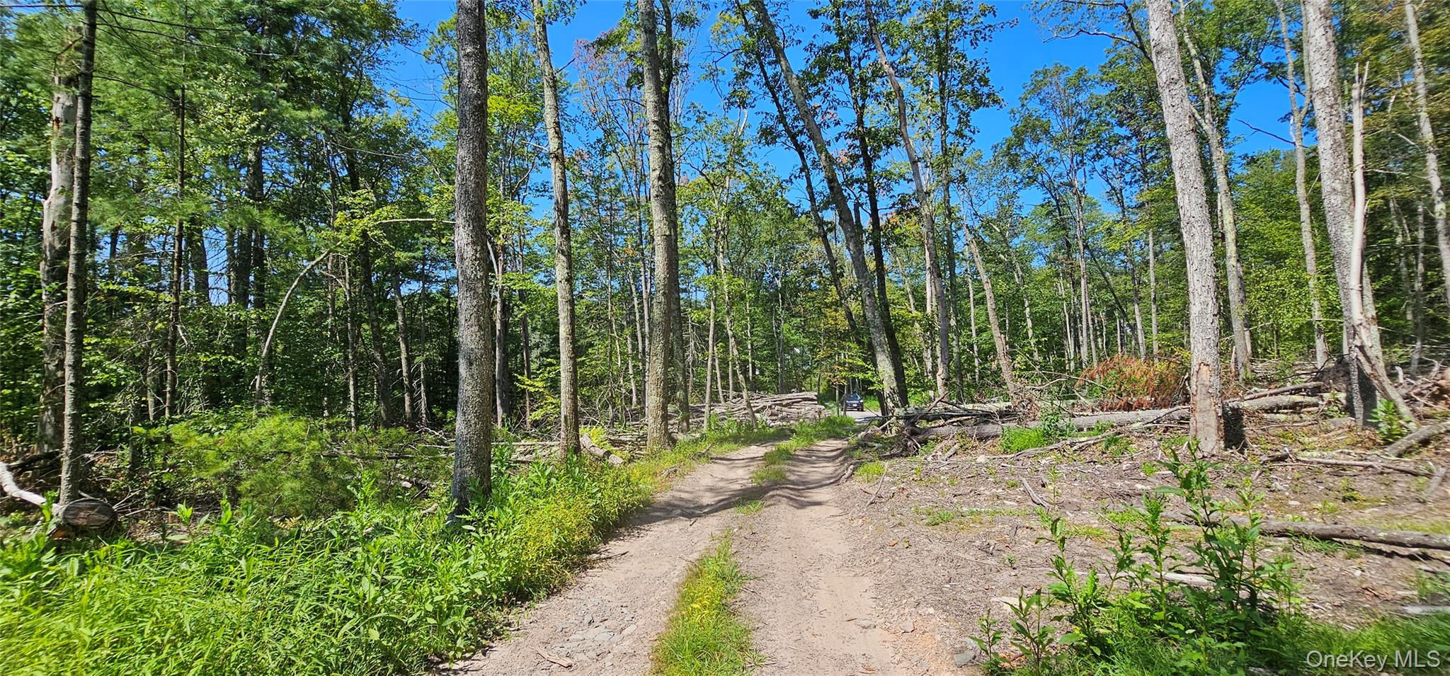 #7 photo, Lot 8.1 Eckes Road, Narrowsburg , NY 12764