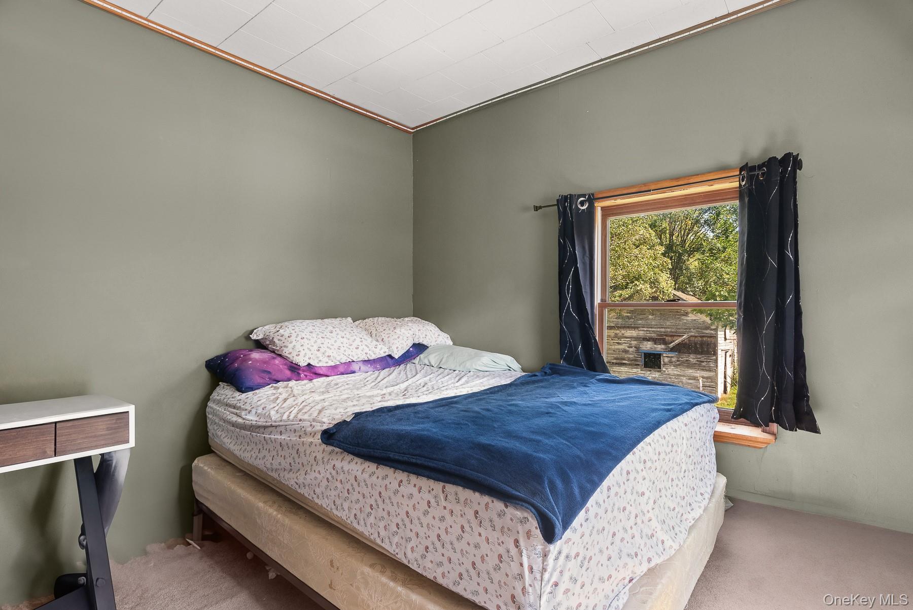 #13 photo, 29 River Street, Stamford , NY 12167