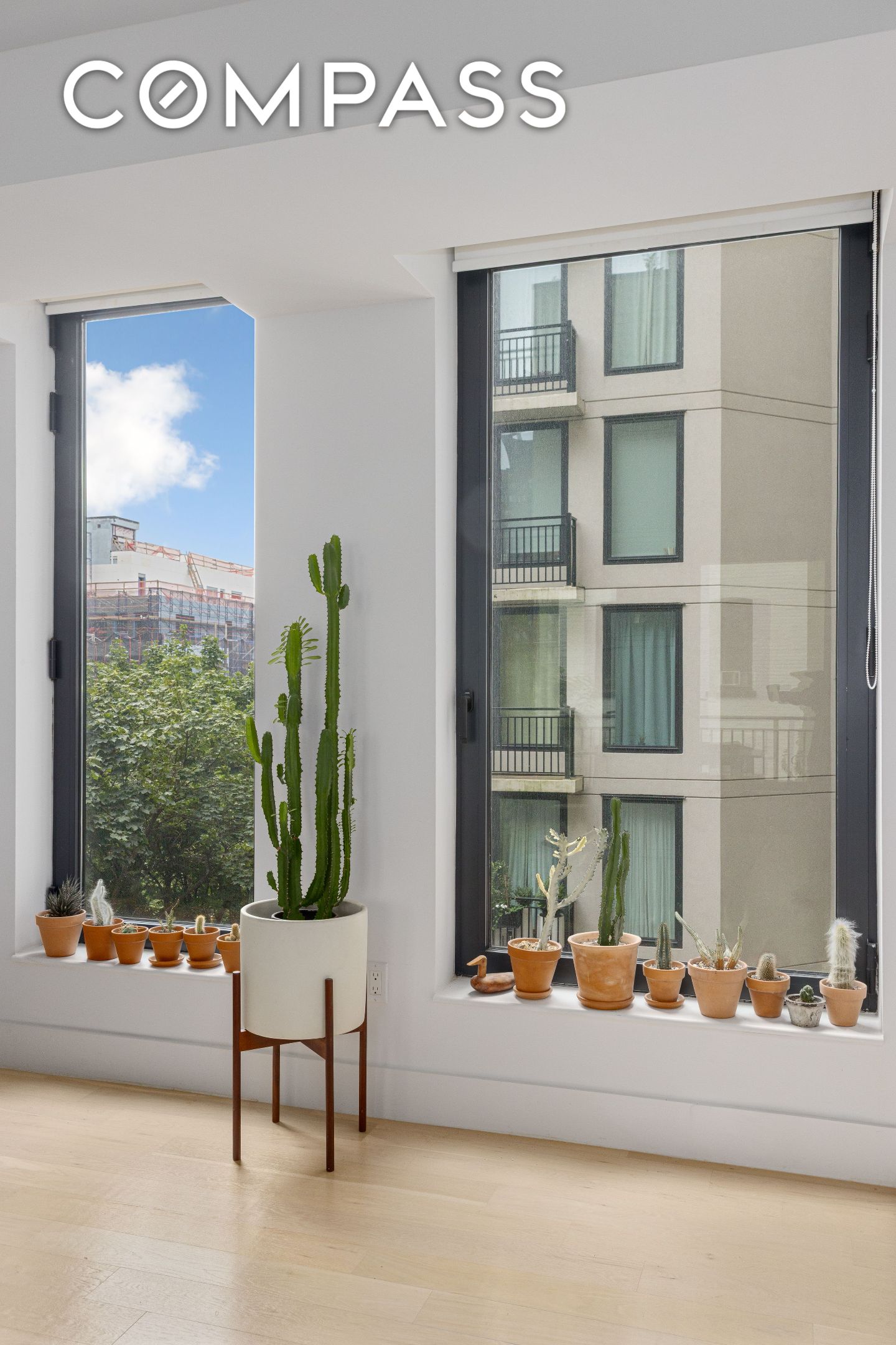 #4 photo, 111 Montgomery Street, ブルックリン区 Crown Heights , NY 11225