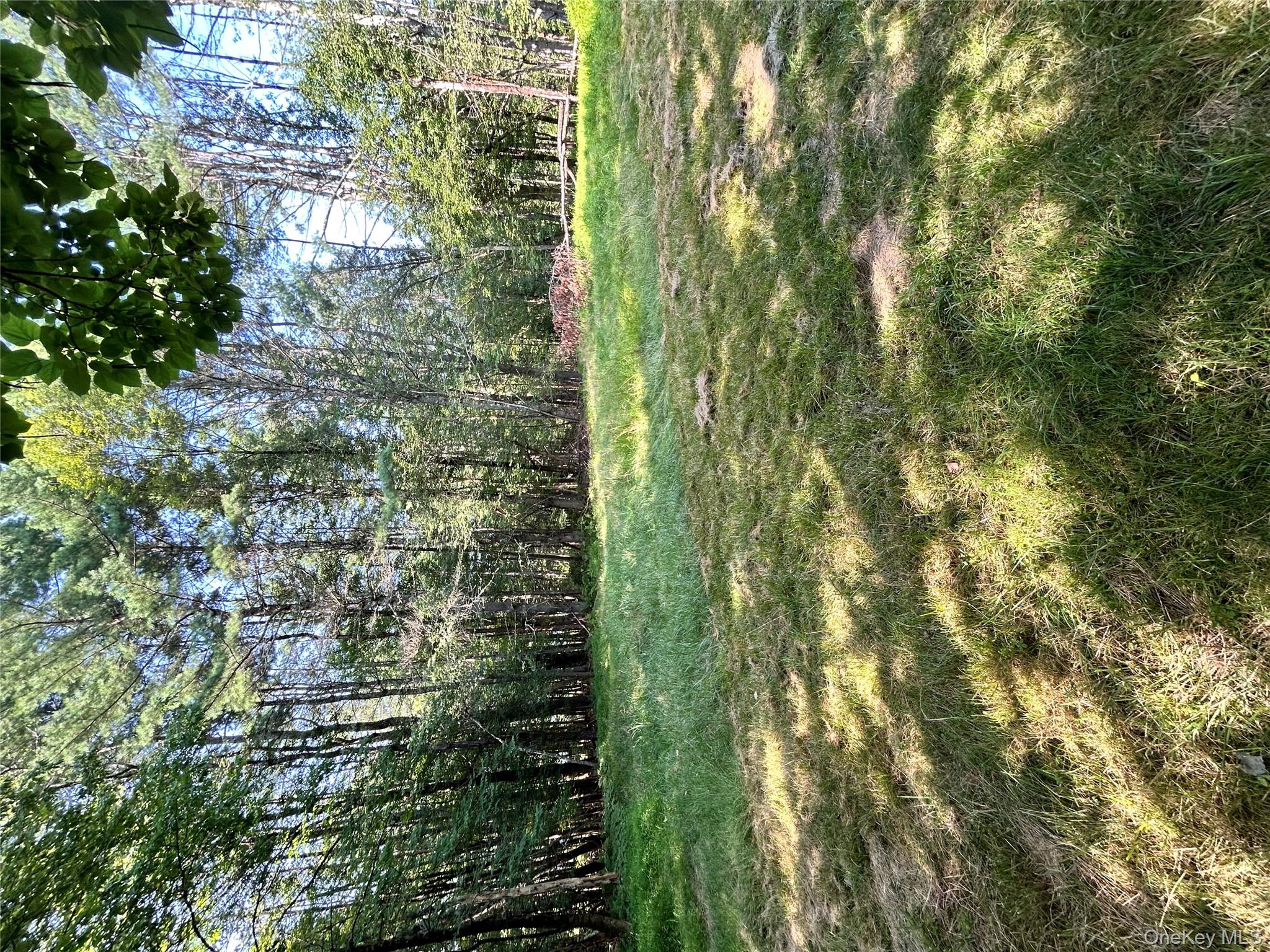 #13 photo, 98 Buff Road, Cochecton , NY 12726