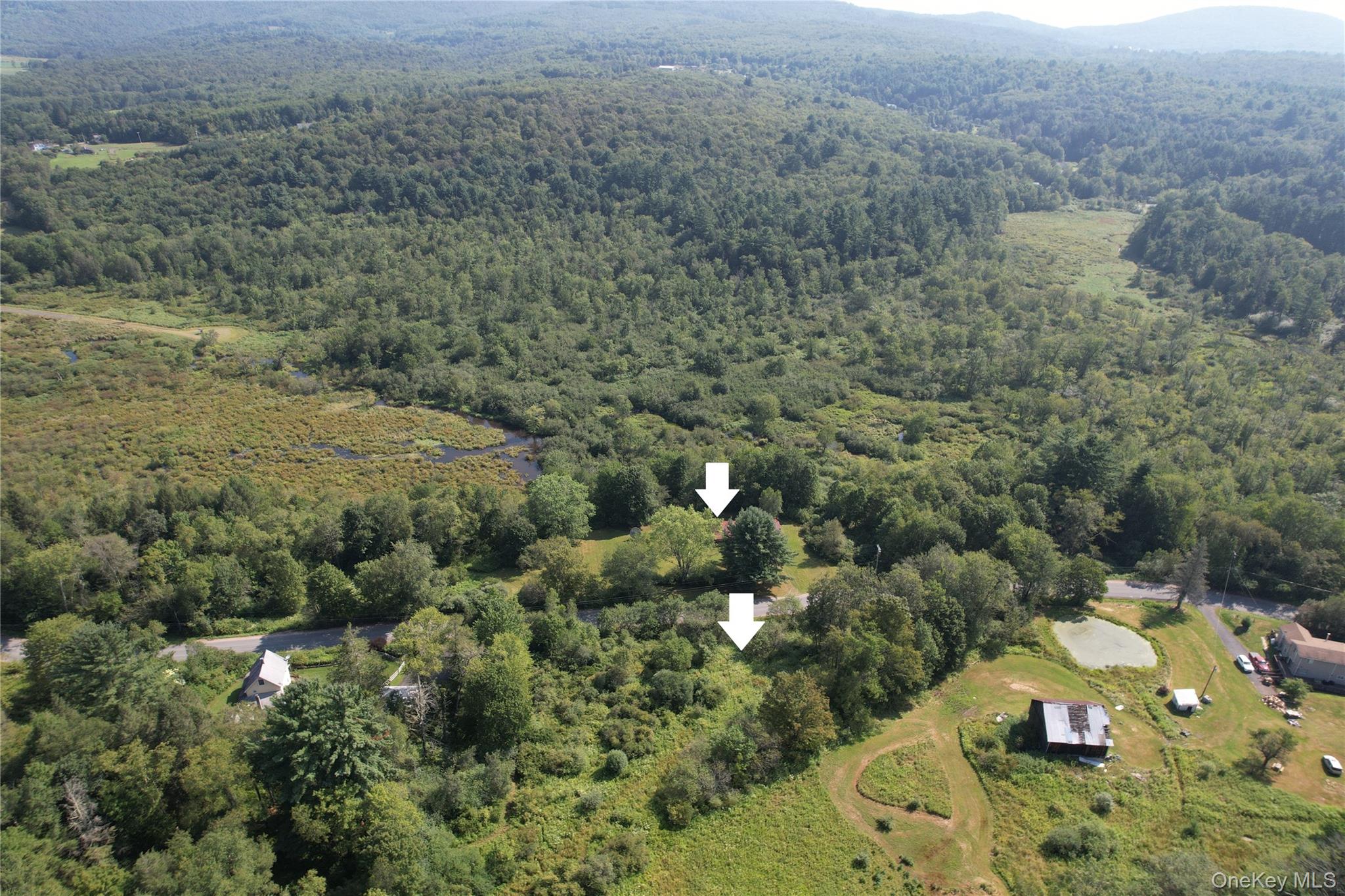 #6 photo, 153 Shore Road, White Sulphur Spring , NY 12787