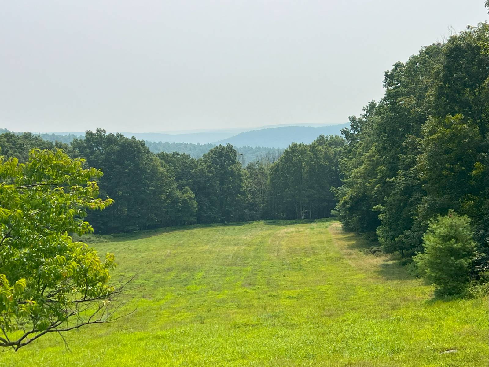 #21 photo, 125 Woods Rd, Barryville , NY 12719