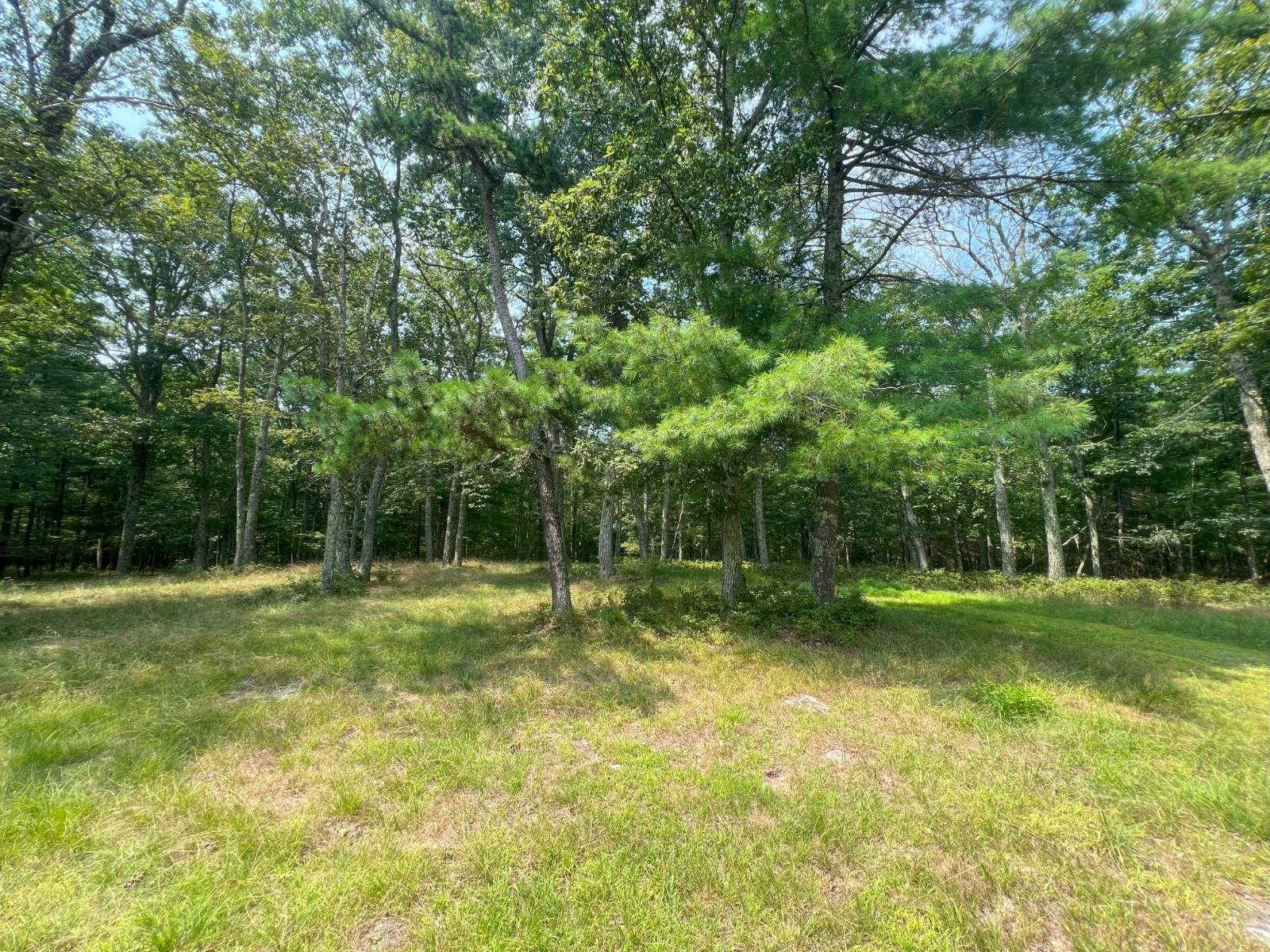 #25 photo, 125 Woods Rd, Barryville , NY 12719