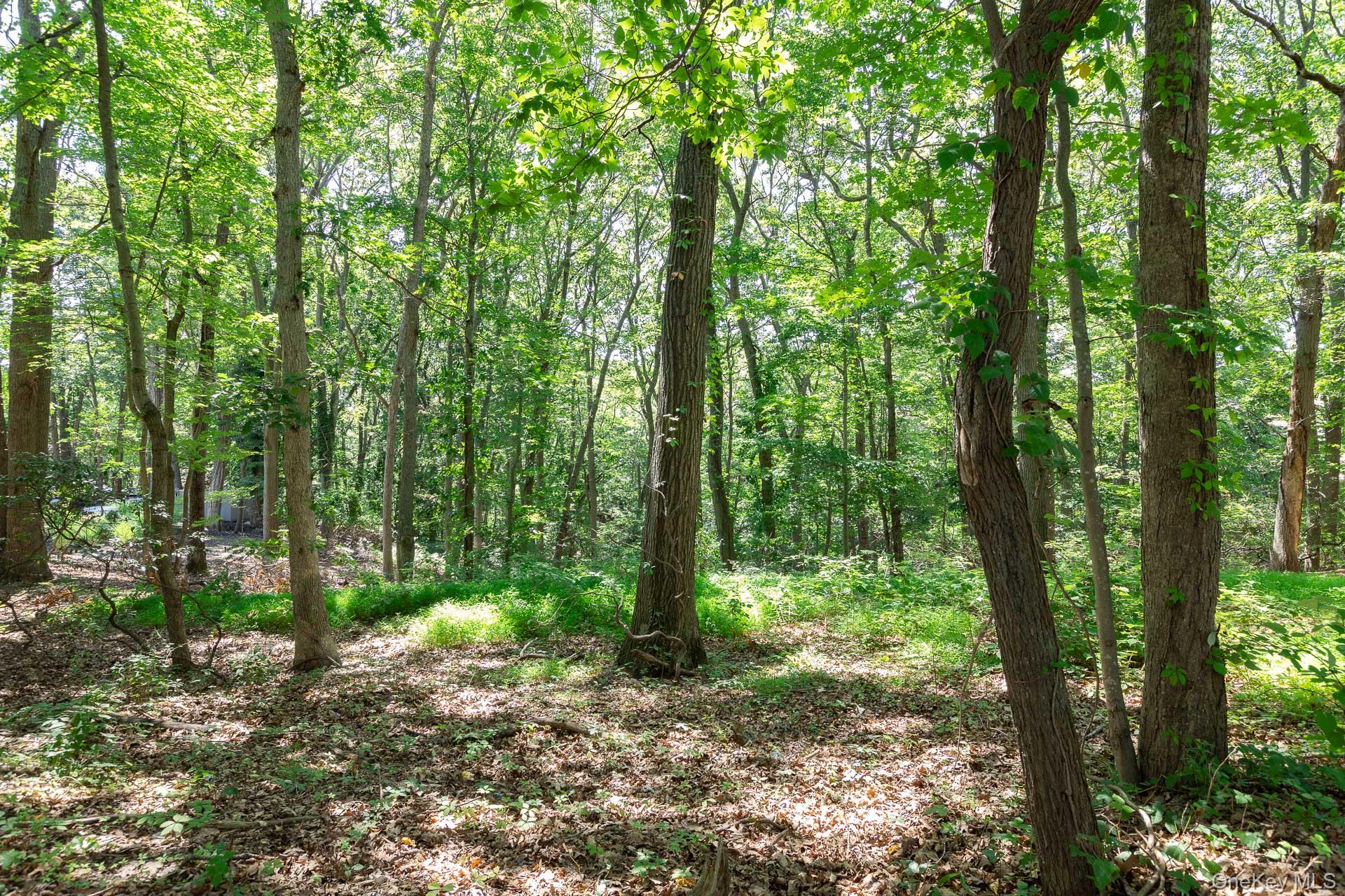 #1 photo, Belle Terre Road, Port Jefferson , NY 