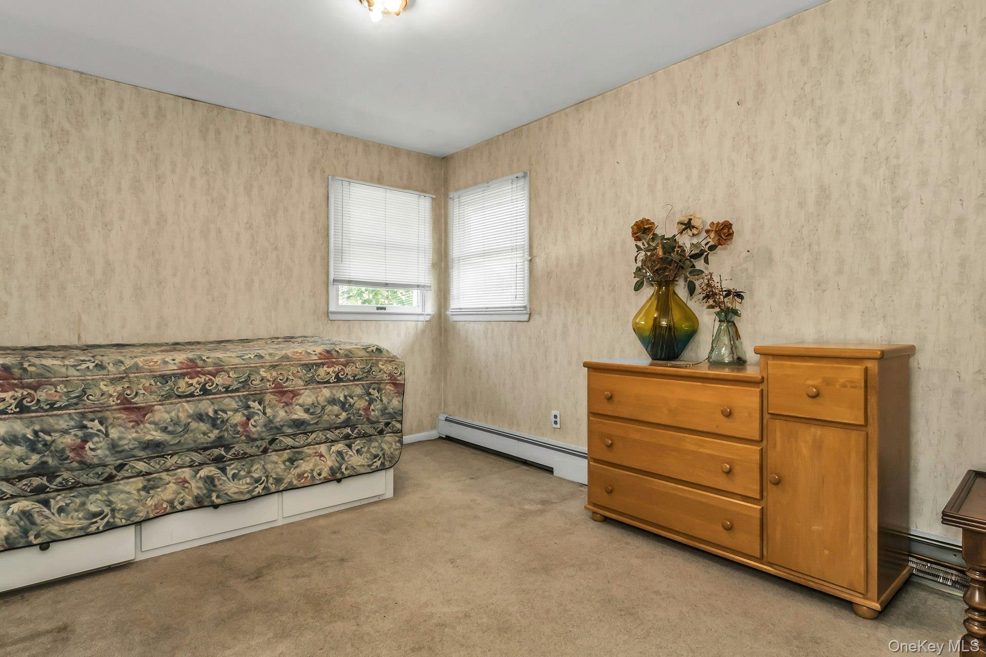 #17 photo, 58 Pasadena Drive, ナッソー郡 Plainview , NY 11803