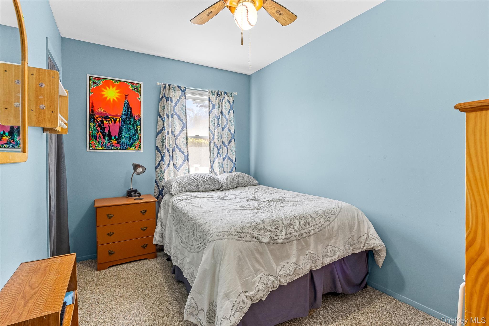 #16 photo, 214 Cypress Street, Massapequa Park , NY 11762