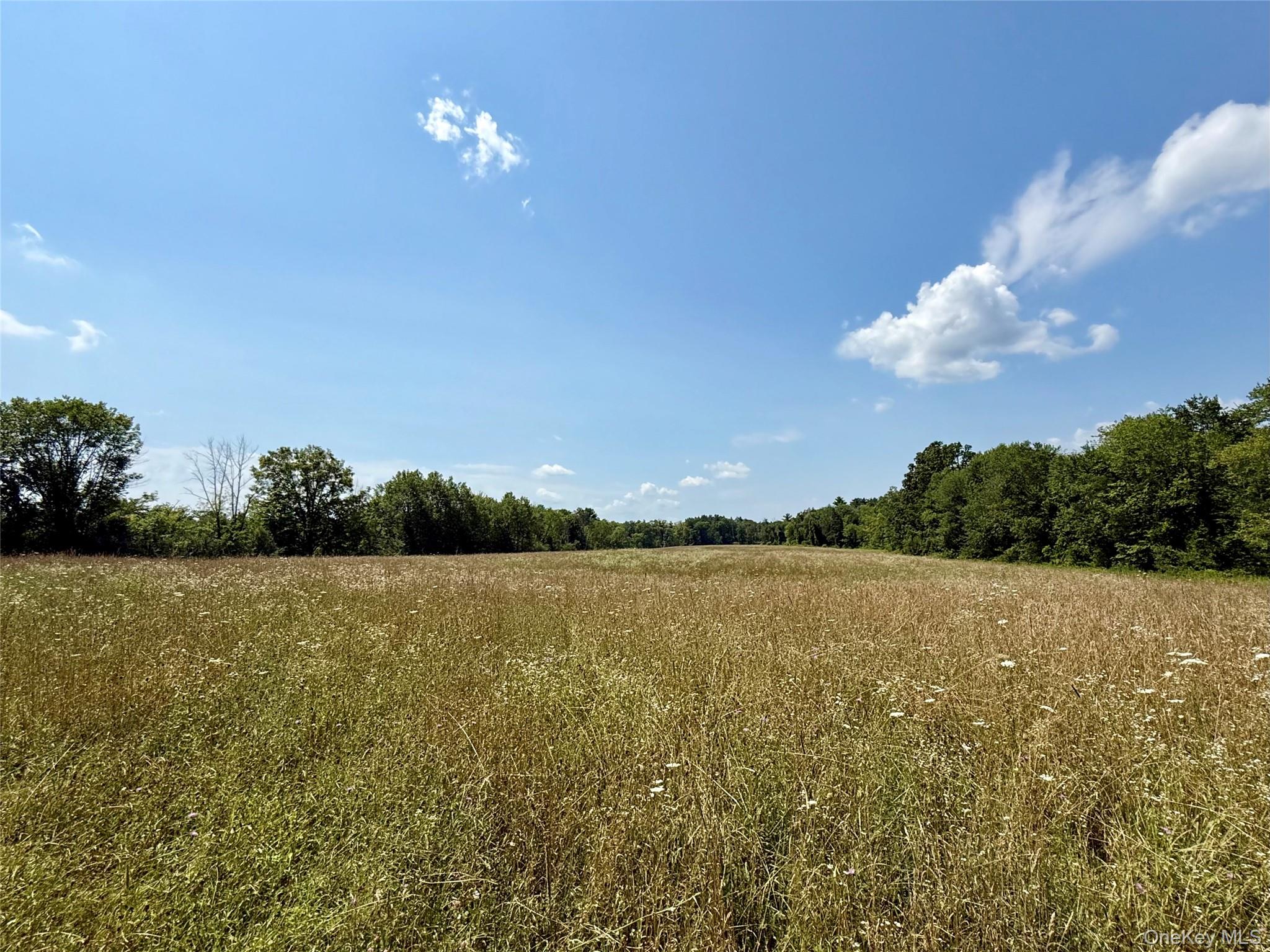 #1 photo, Shawangunk Road, Middletown , NY 10941