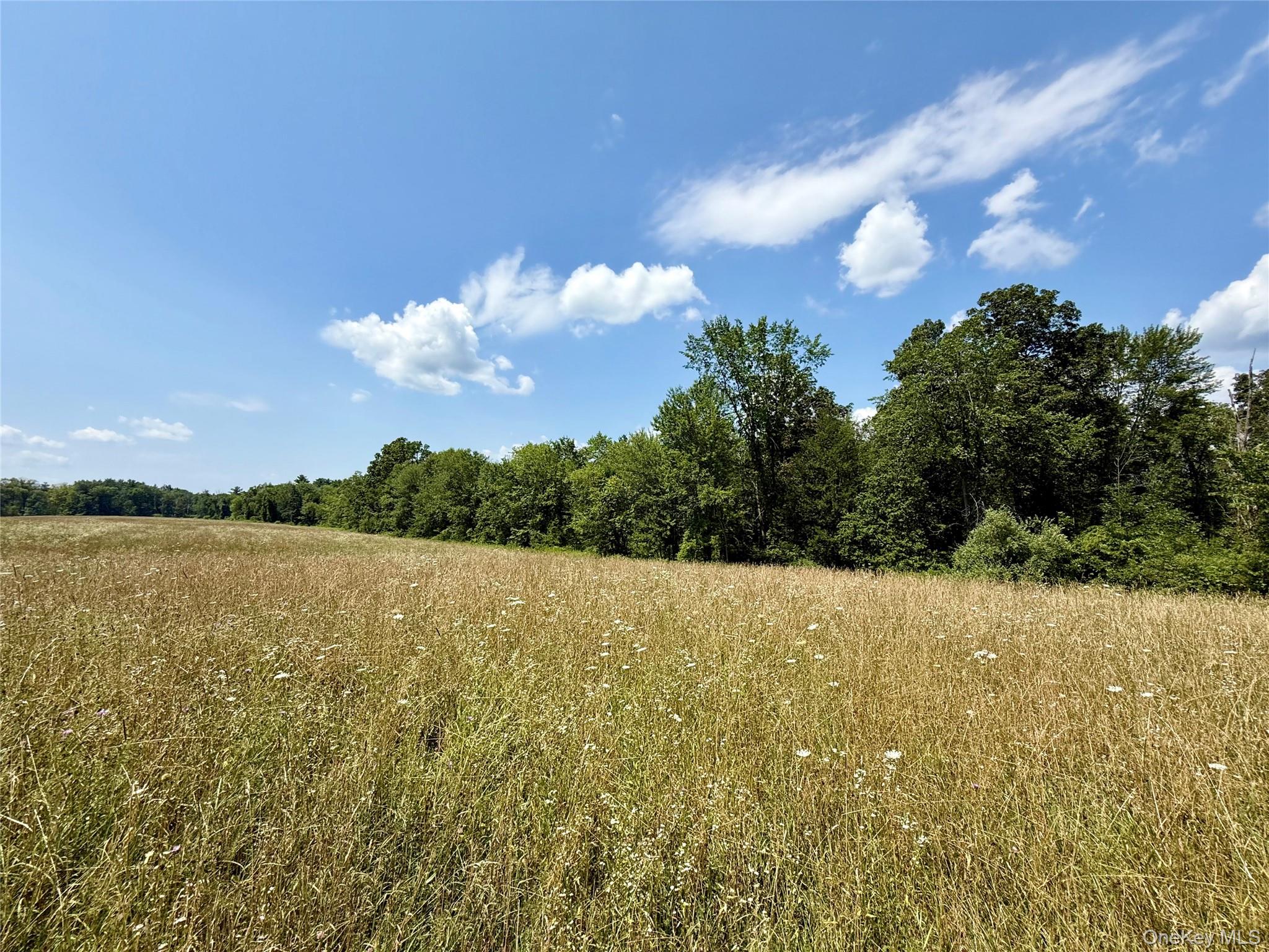 #3 photo, Shawangunk Road, Middletown , NY 10941