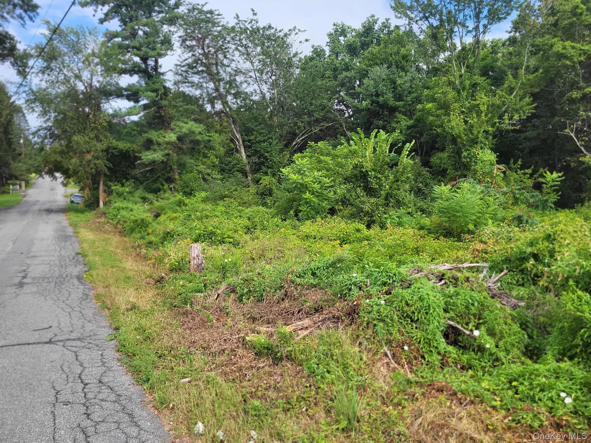 #2 photo, W NYS RTE 208 Highway (Bona Ventura) Avenue, Wallkill , NY 12589