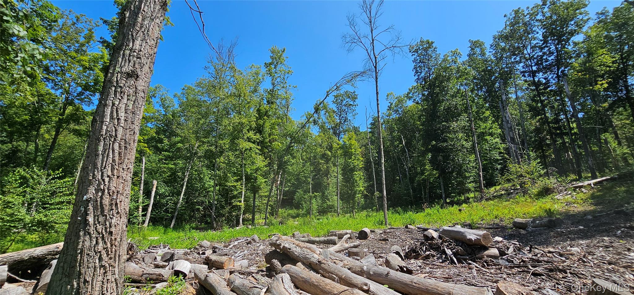 #14 photo, Lot 50 Deep Hollow Hill Road, Narrowsburg , NY 12764