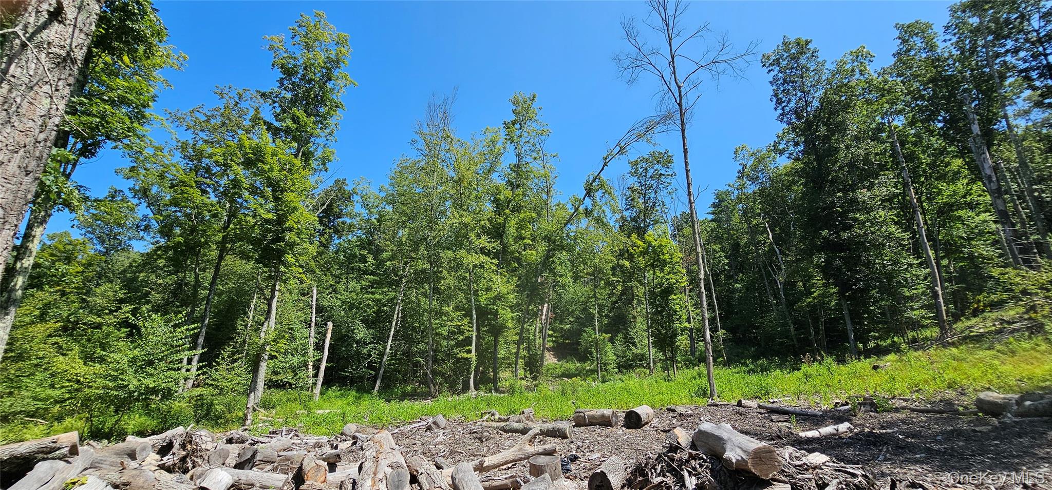 #15 photo, Lot 50 Deep Hollow Hill Road, Narrowsburg , NY 12764