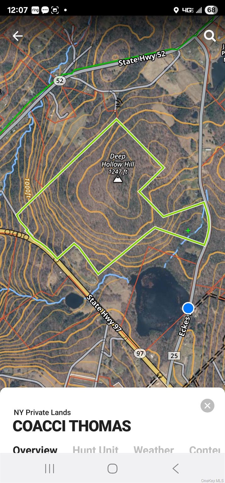 #17 photo, Lot 50 Deep Hollow Hill Road, Narrowsburg , NY 12764