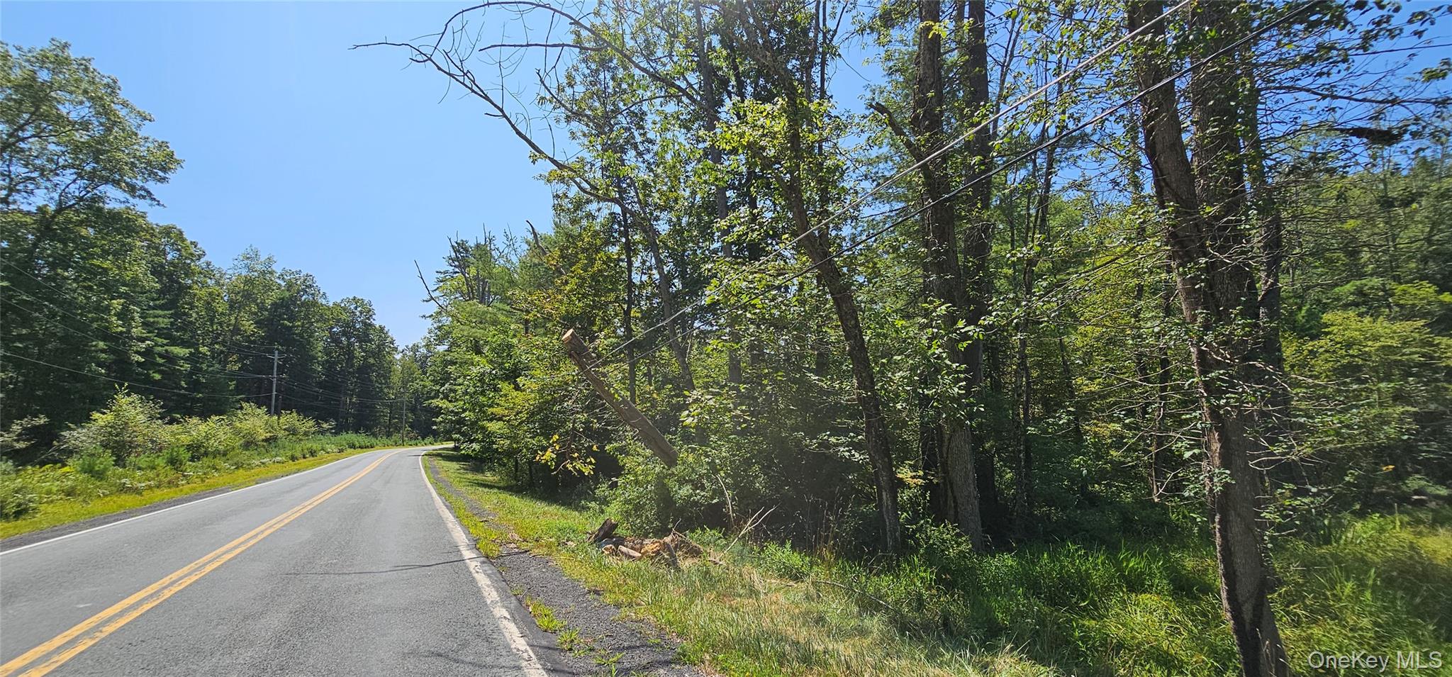 #6 photo, Lot 50 Deep Hollow Hill Road, Narrowsburg , NY 12764