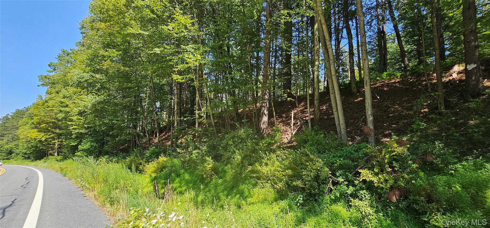 #7 photo, Lot 50 Deep Hollow Hill Road, Narrowsburg , NY 12764