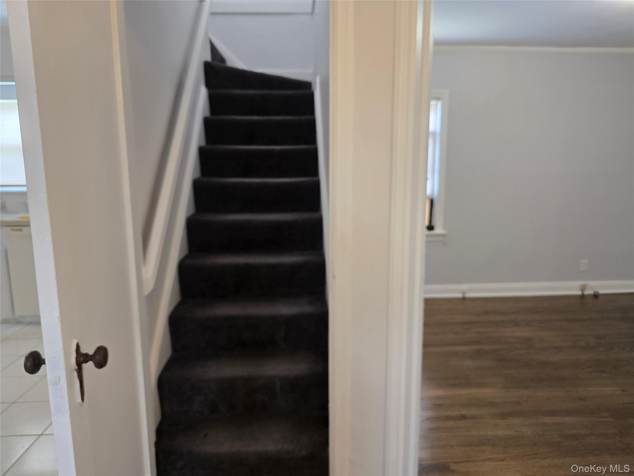 #17 photo, 123 Nugent Street, ナッソー郡 New Hyde Park , NY 11040