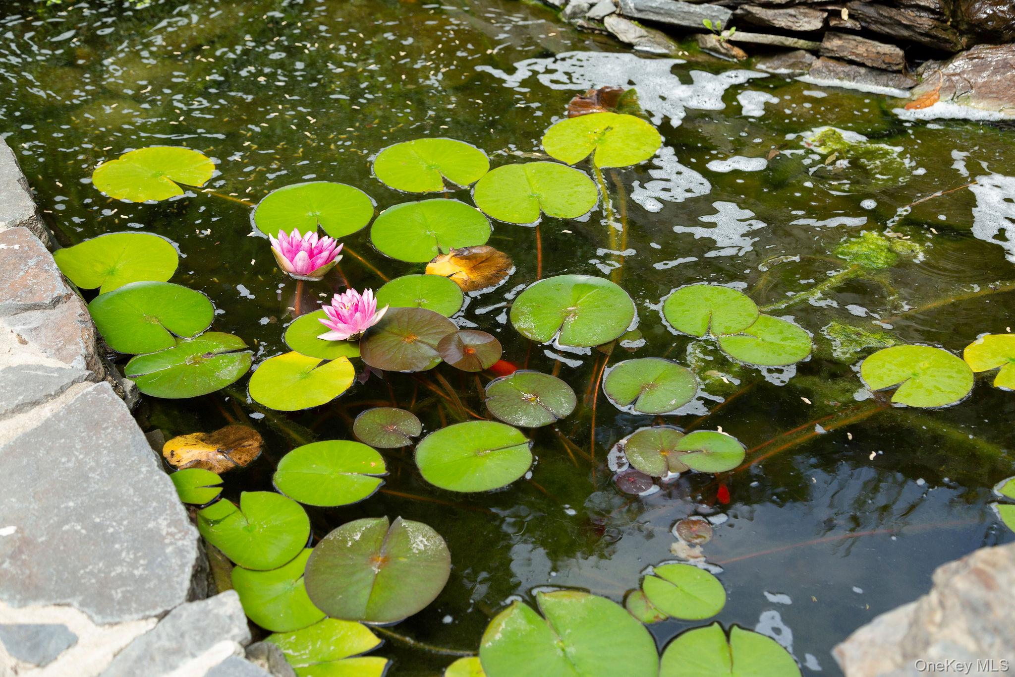 #10 photo, 164 Vassar Road, Poughkeepsie , NY 12603