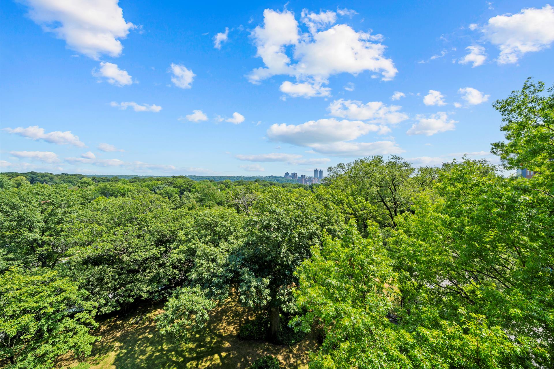 #12 photo, 4555 HENRY HUDSON Parkway, Central Riverdale , NY 10471