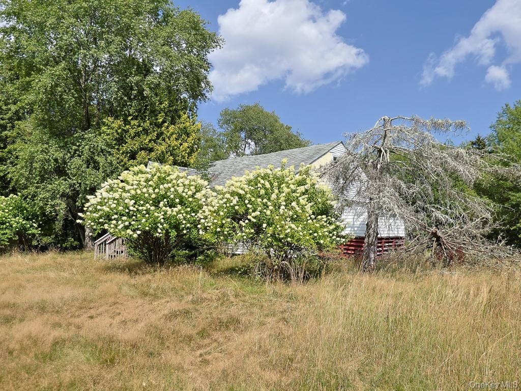 #3 photo, 3560 State Route 42, Monticello , NY 12701