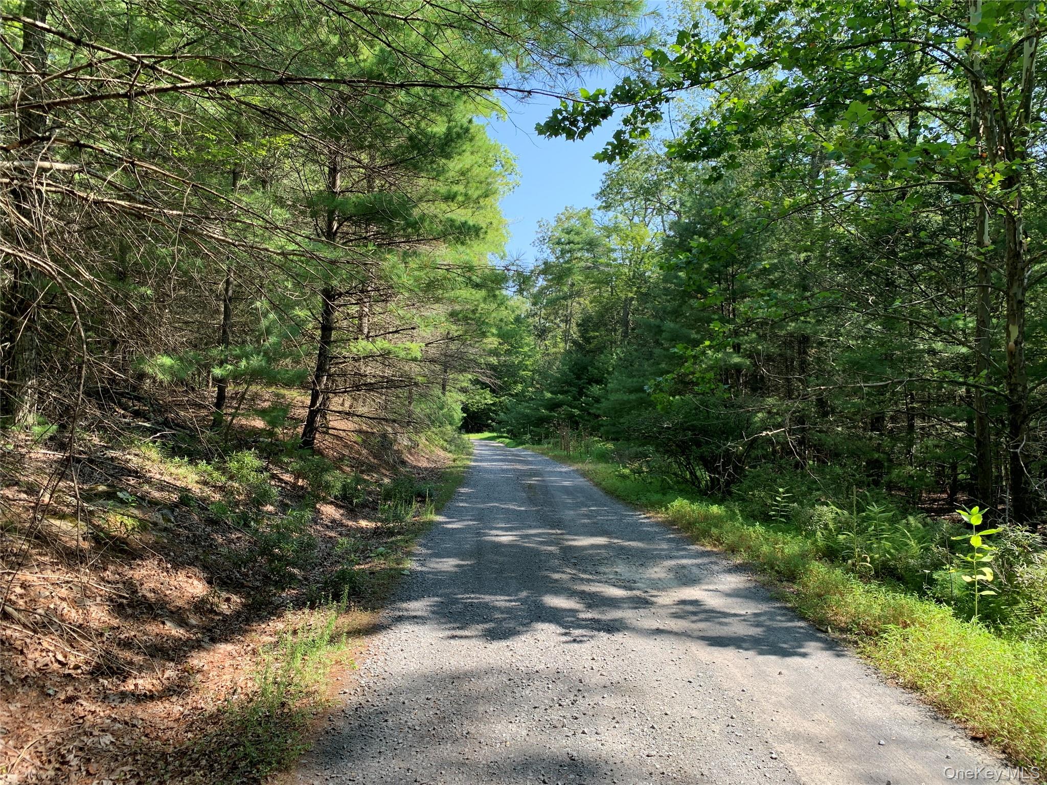 #11 photo, 00 Lauren Court, Woodstock , NY 12498