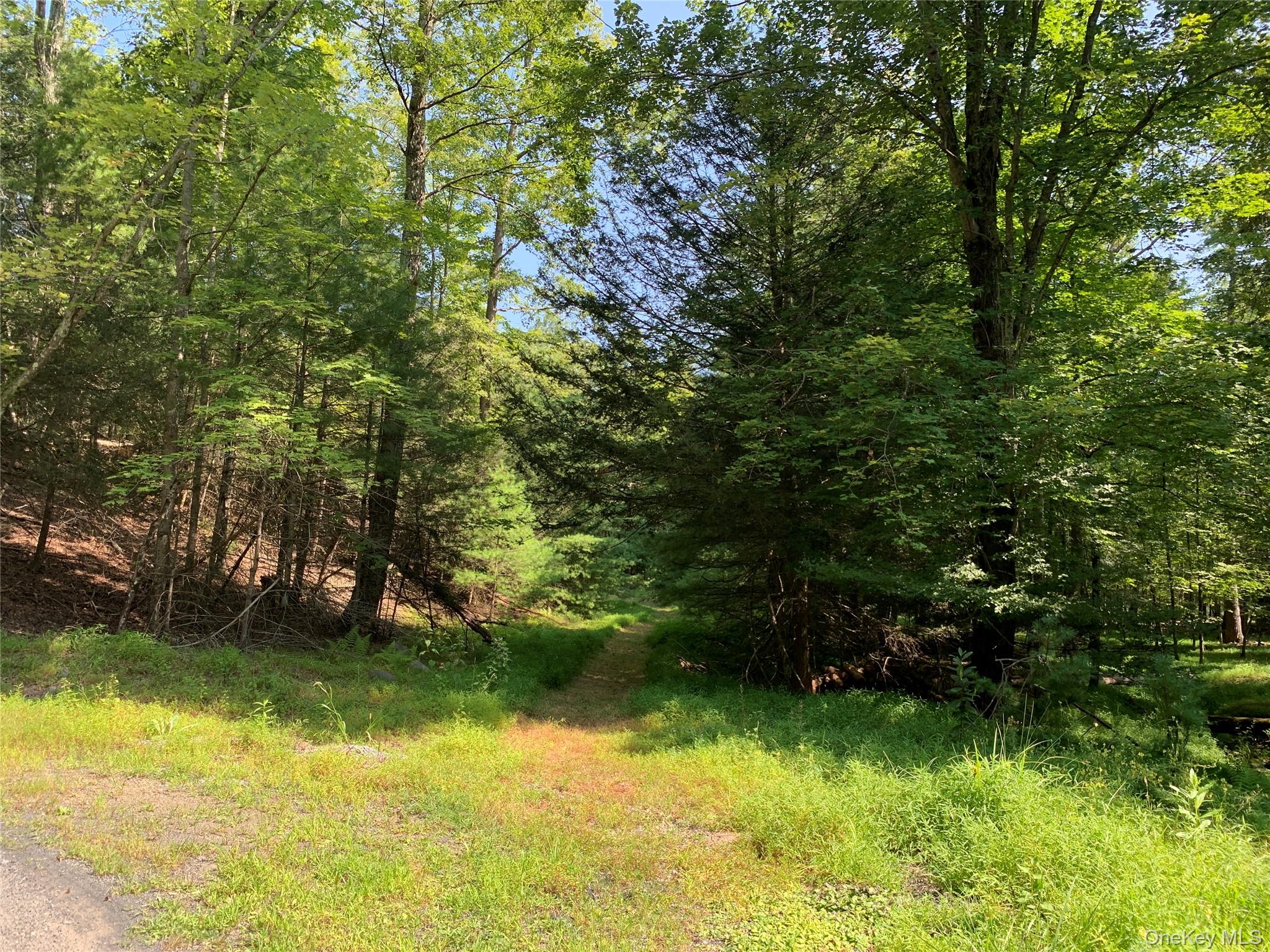 #13 photo, 00 Lauren Court, Woodstock , NY 12498