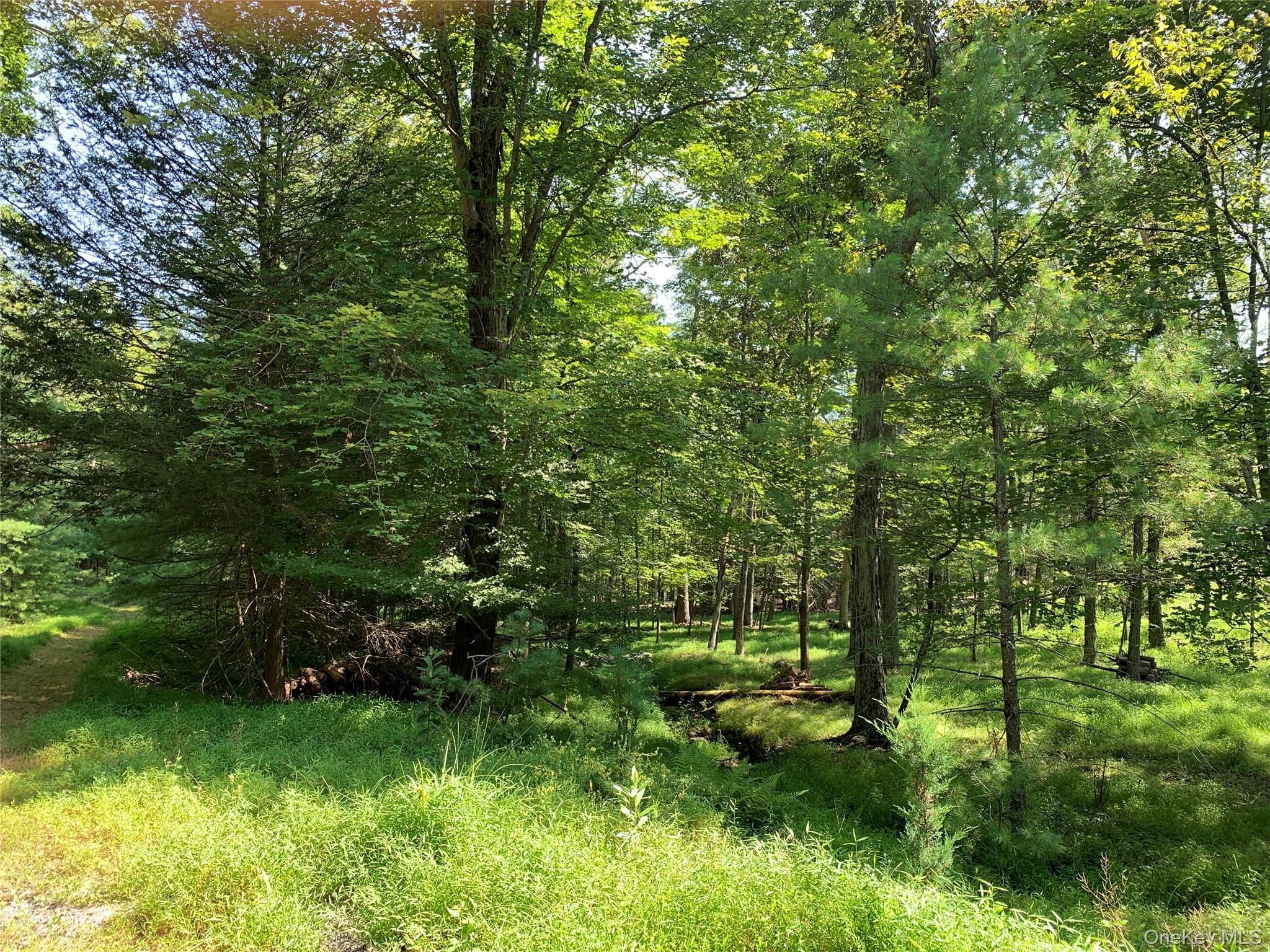 #14 photo, 00 Lauren Court, Woodstock , NY 12498