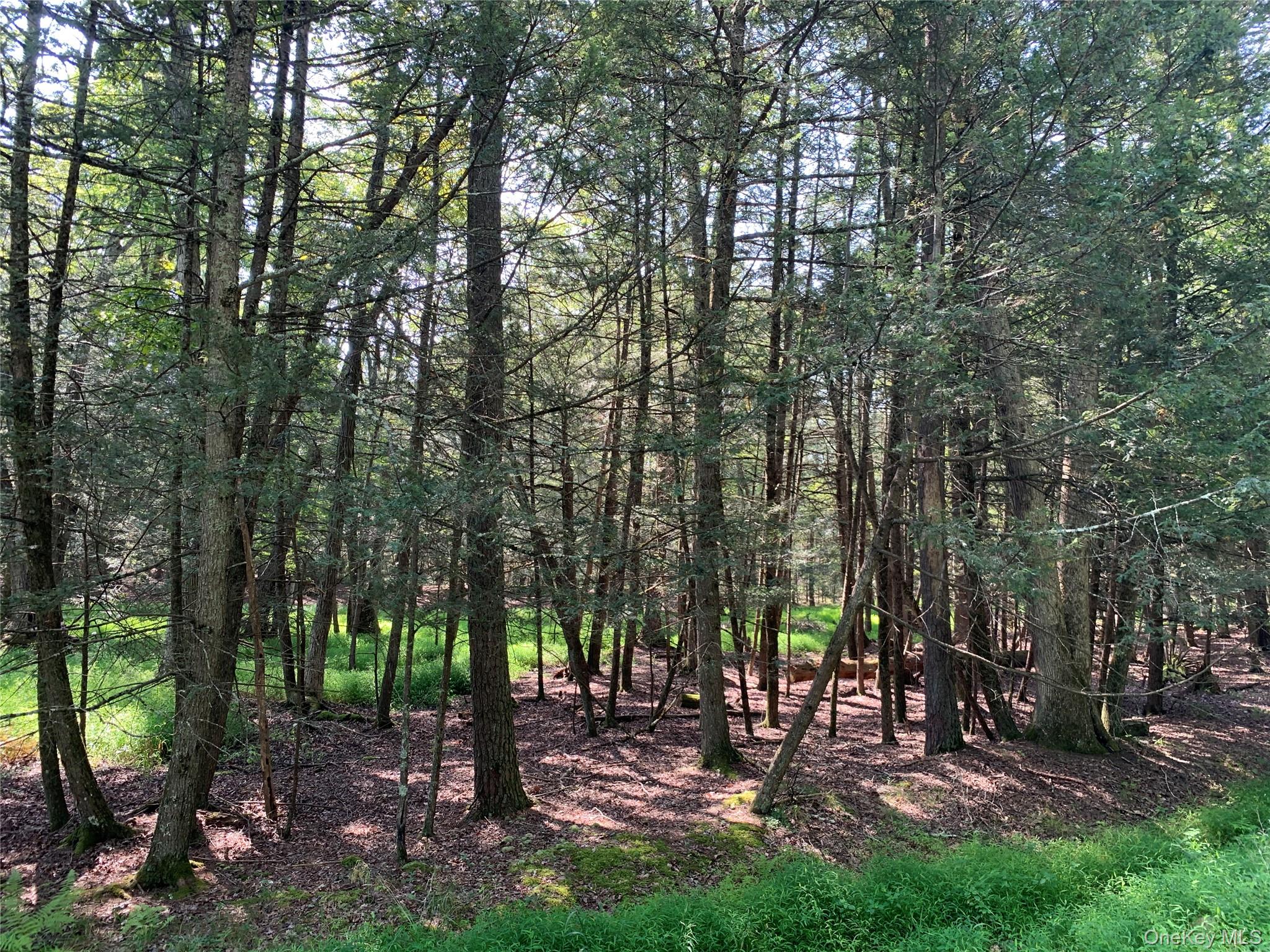 #15 photo, 00 Lauren Court, Woodstock , NY 12498