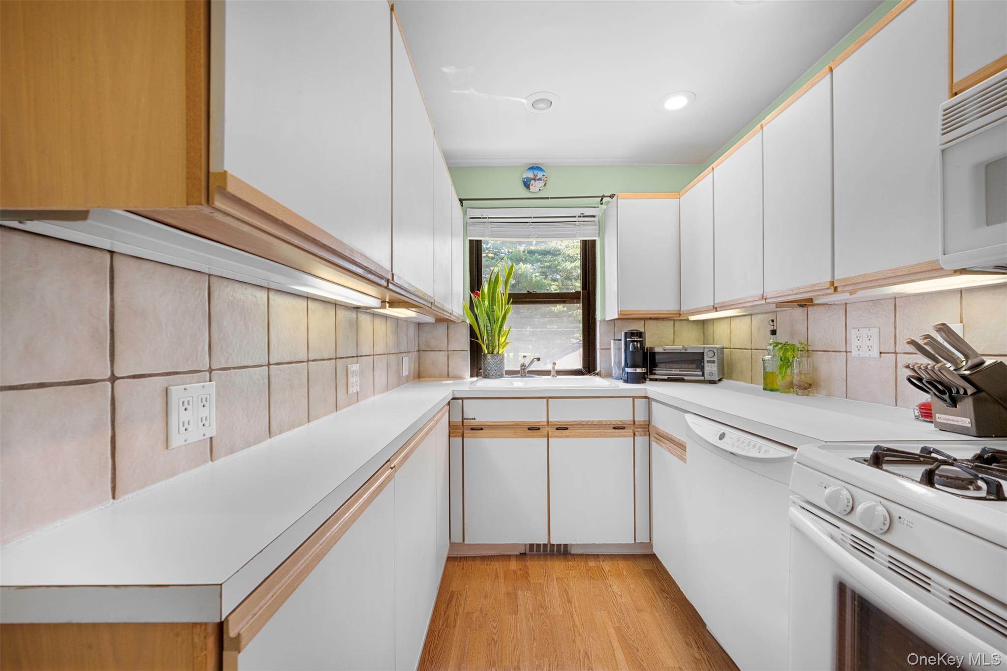 #16 photo, 29 West Mill Drive, ナッソー郡 Great Neck , NY 11021