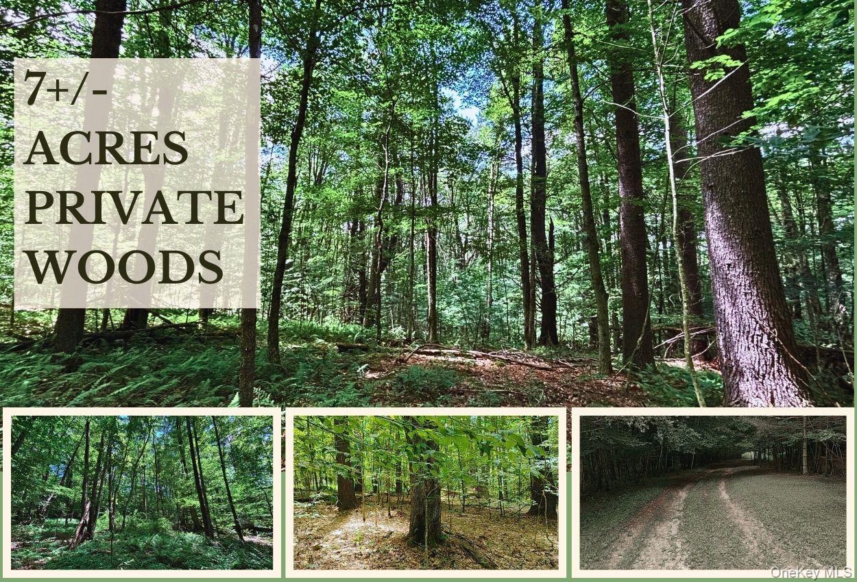 #1 photo, Farm View Road, 纽约州 Other , NY 13786