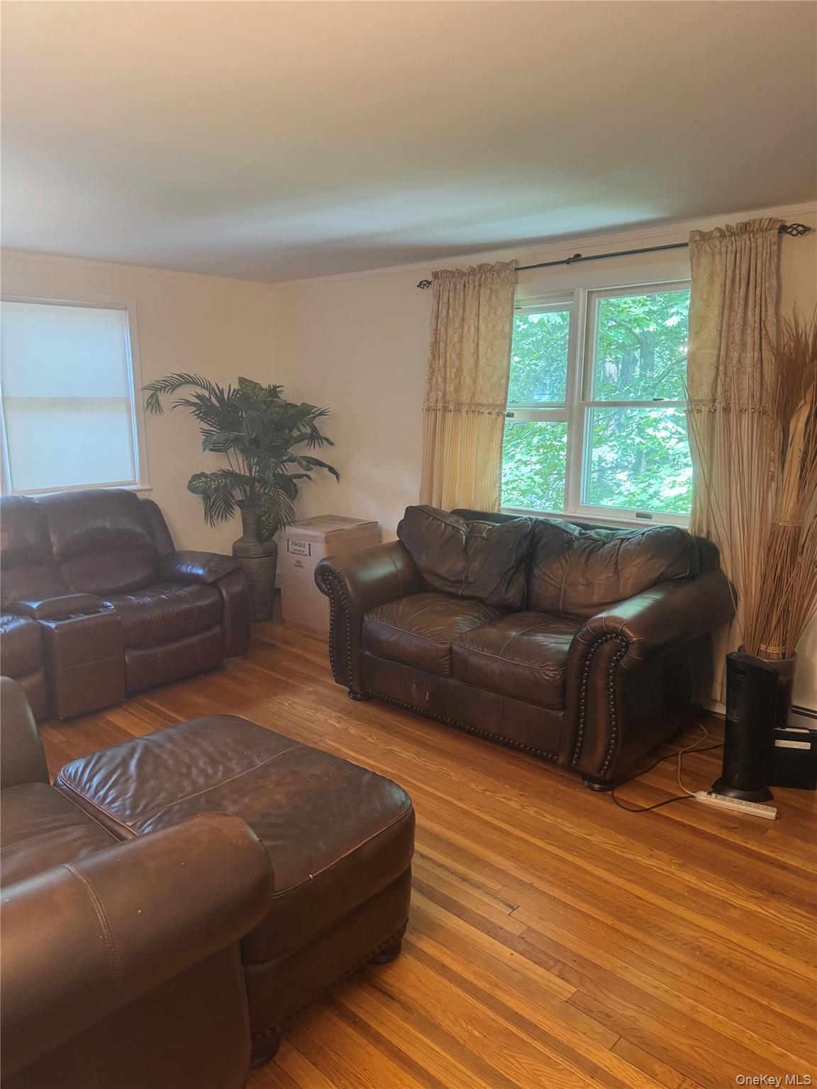 #3 photo, 7 Dickinson Avenue, East Northport , NY 11731