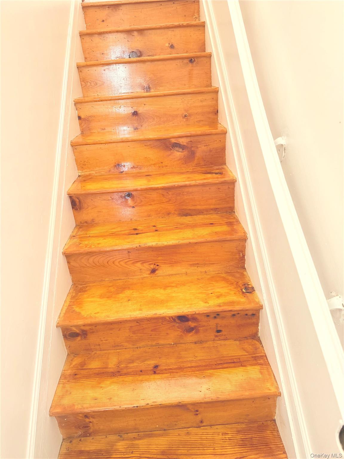 #3 photo, 721 Fountain Avenue, Brooklyn , NY 11208