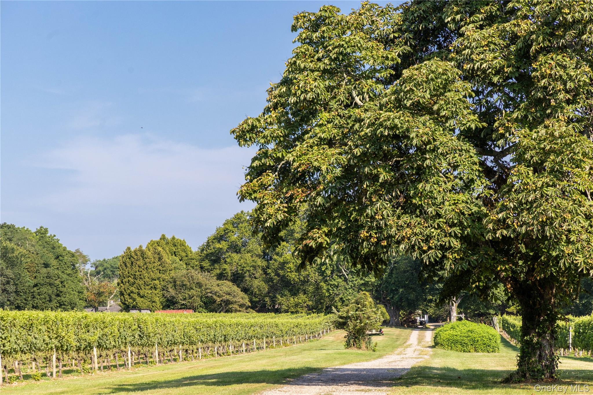 #11 photo, 59600 Main Road, Southold , NY 11971