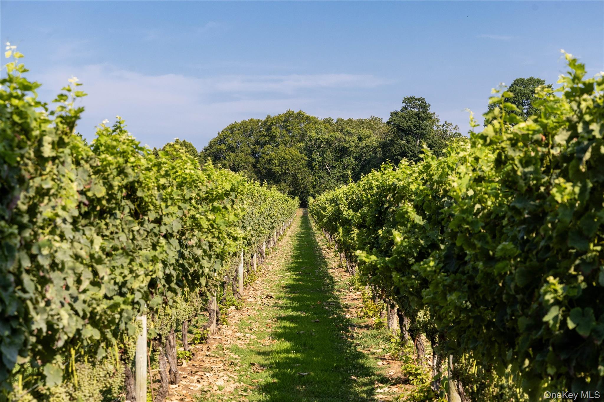 #12 photo, 59600 Main Road, Southold , NY 11971