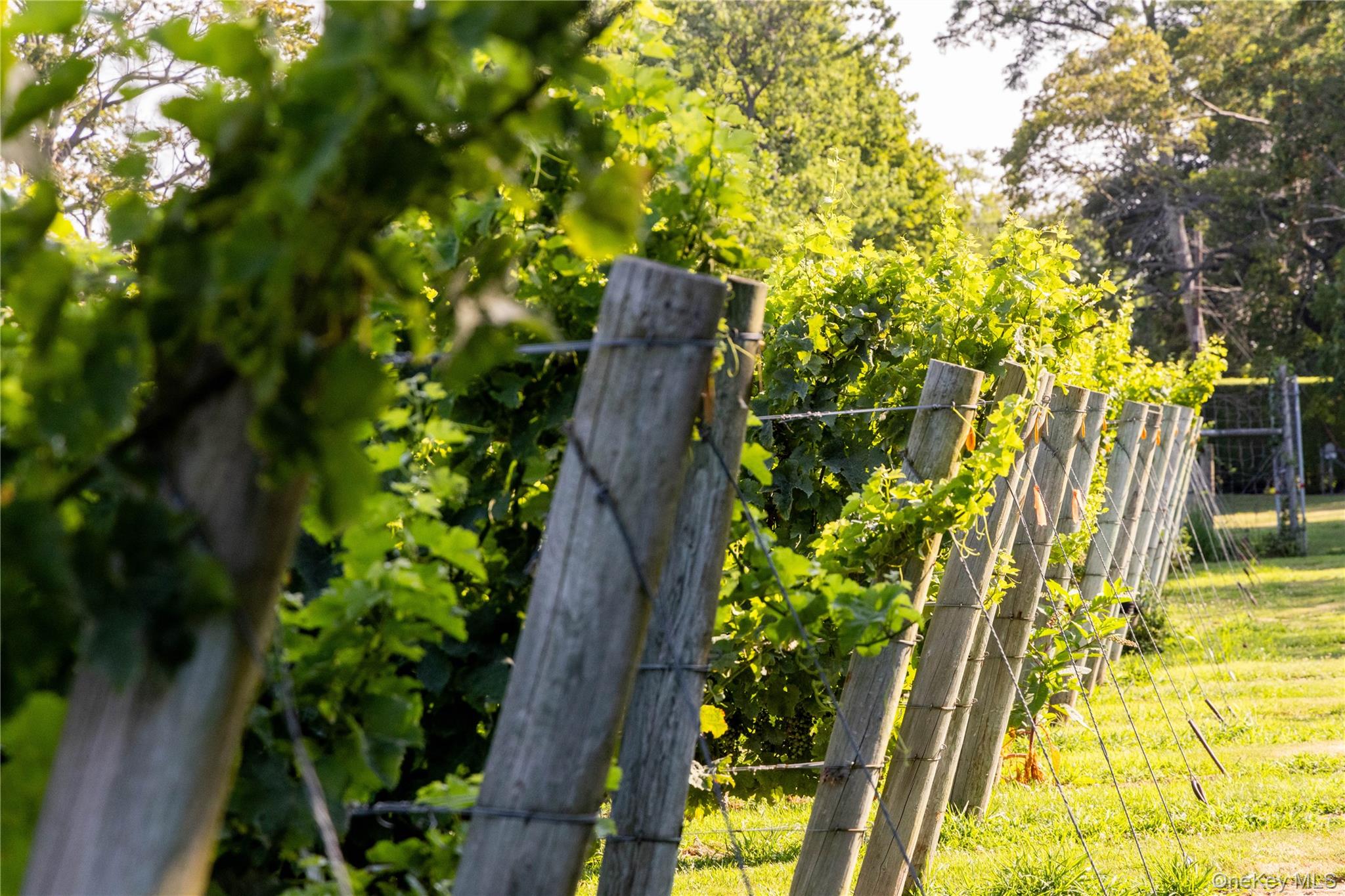 #14 photo, 59600 Main Road, Southold , NY 11971