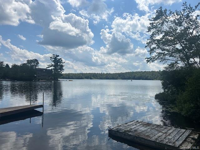 #1 photo, 94 Park Drive, Parksville , NY 12768