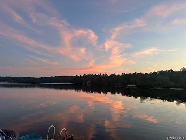 #15 photo, 94 Park Drive, Parksville , NY 12768