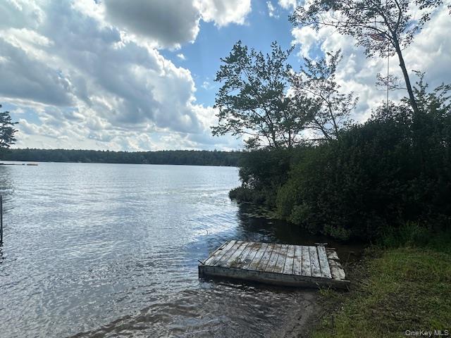 #16 photo, 94 Park Drive, Parksville , NY 12768