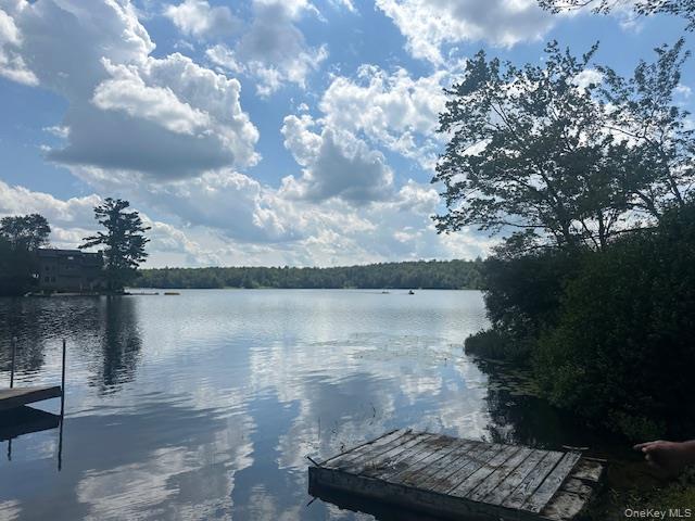 #17 photo, 94 Park Drive, Parksville , NY 12768