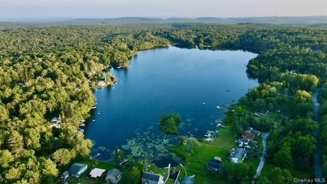 #4 photo, 94 Park Drive, Parksville , NY 12768