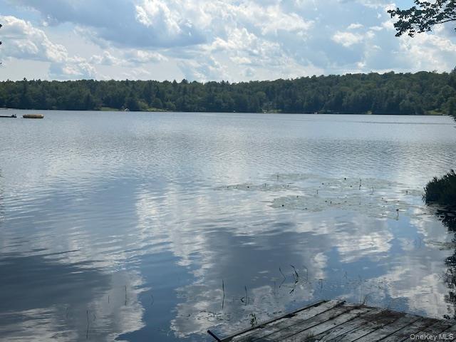 #7 photo, 94 Park Drive, Parksville , NY 12768