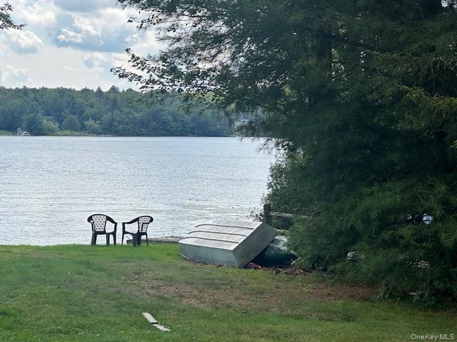 #8 photo, 94 Park Drive, Parksville , NY 12768