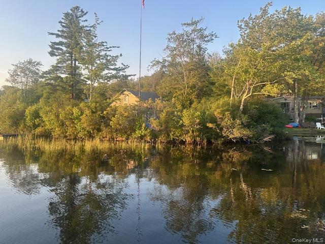 #9 photo, 94 Park Drive, Parksville , NY 12768