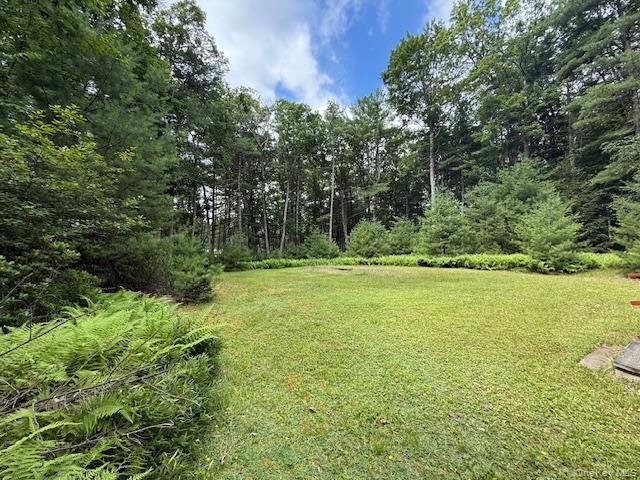 #12 photo, 7 Hoyt Road, Glen Spey , NY 12737