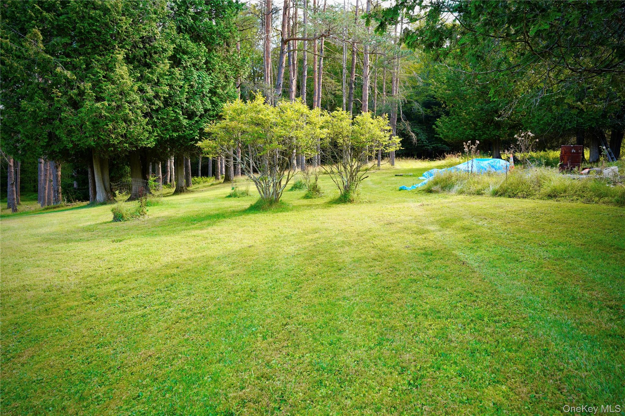 #14 photo, 669 Shandelee Road, Livingston Manor , NY 12758