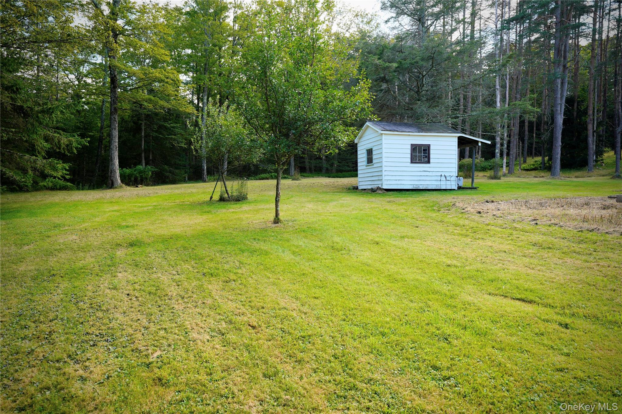 #18 photo, 669 Shandelee Road, Livingston Manor , NY 12758