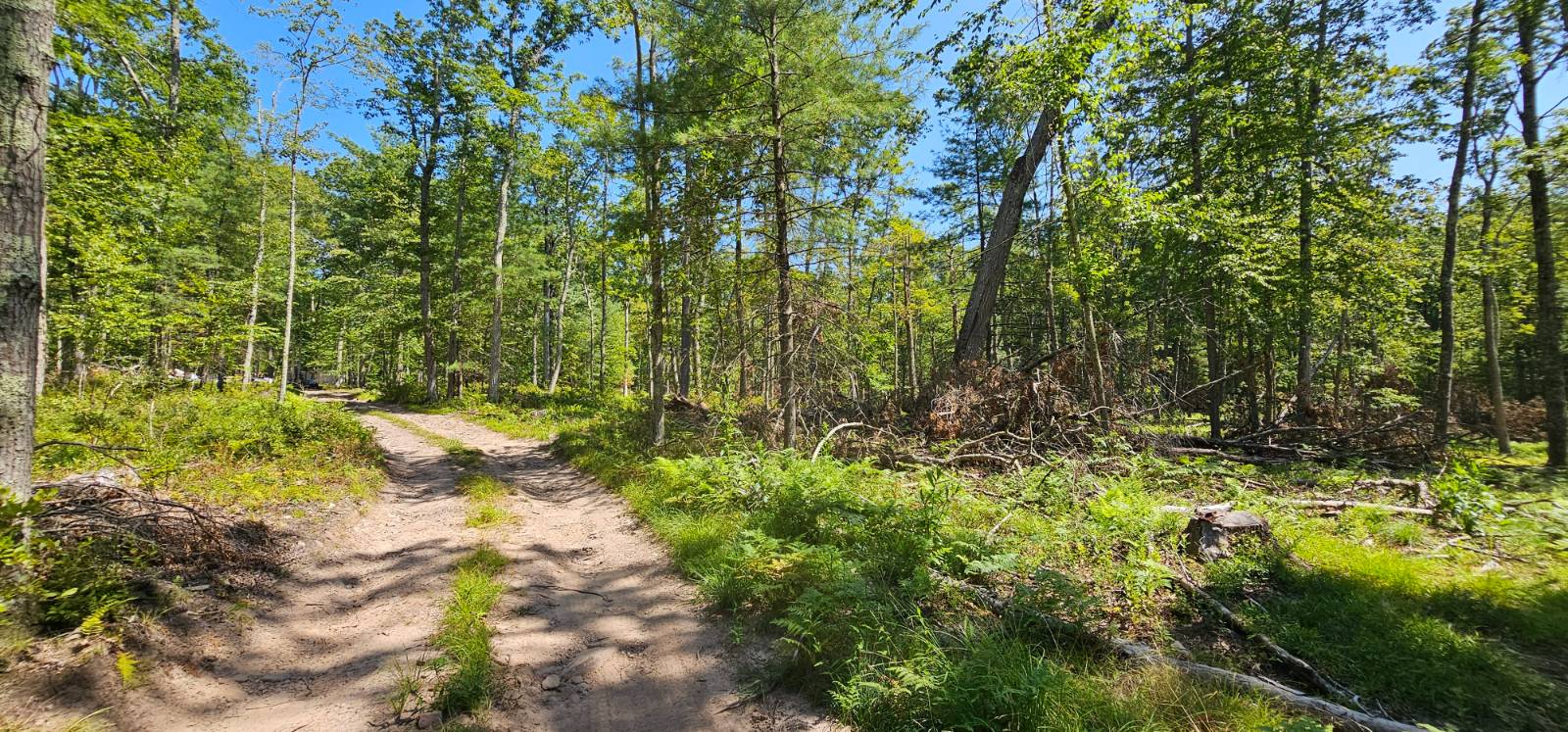 #11 photo, Lot 8.1 Eckes Road, Narrowsburg , NY 12764