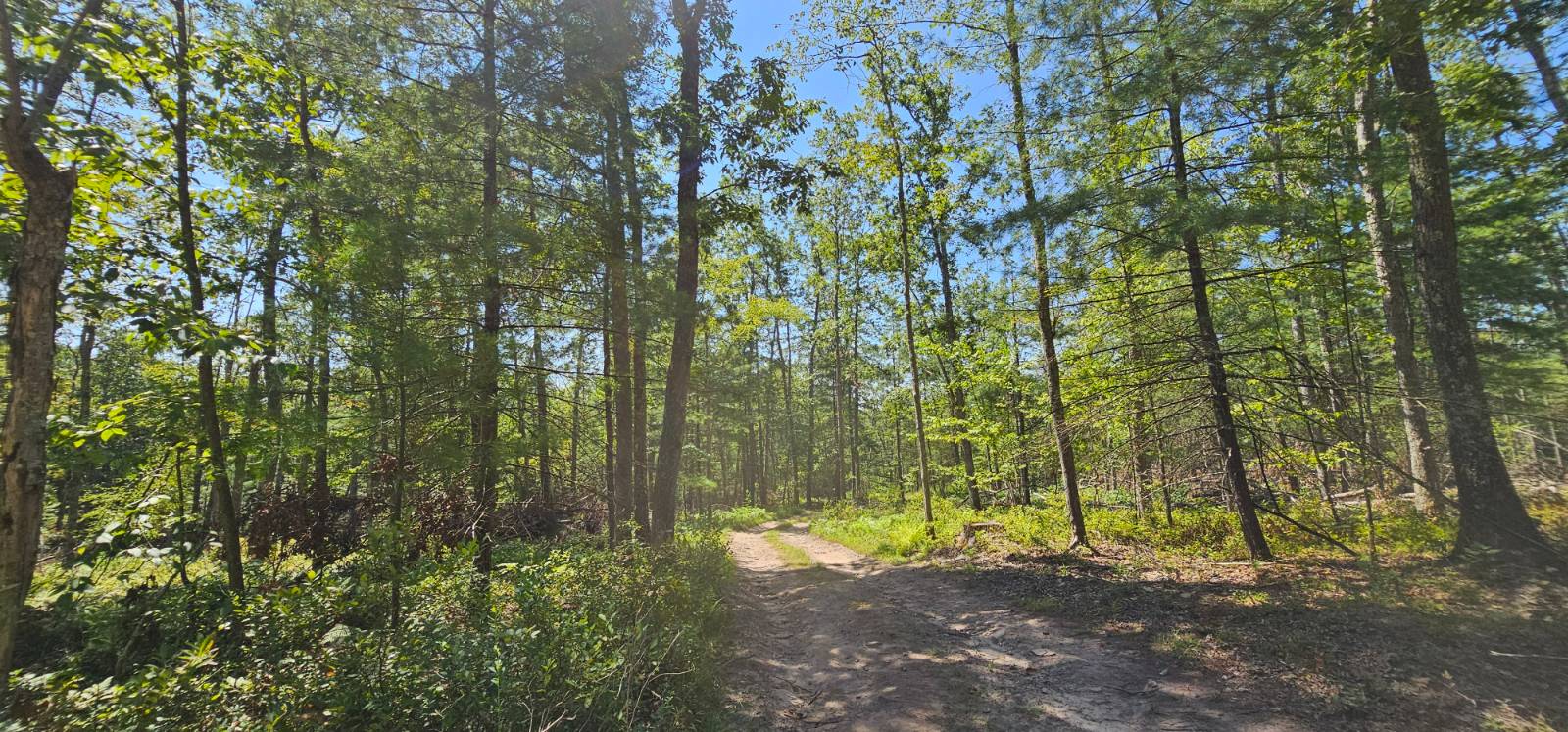 #14 photo, Lot 8.1 Eckes Road, Narrowsburg , NY 12764